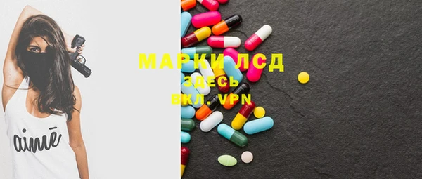 индика Арсеньев