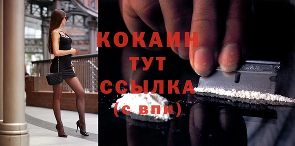 индика Арсеньев