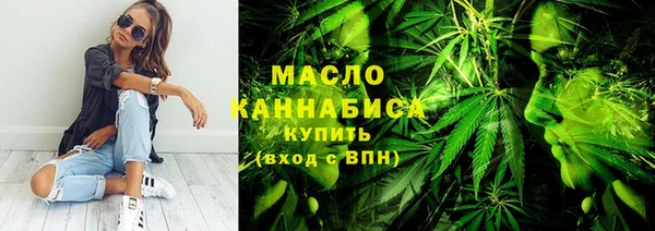 индика Арсеньев