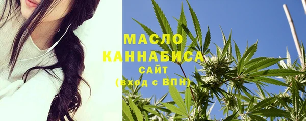 индика Арсеньев