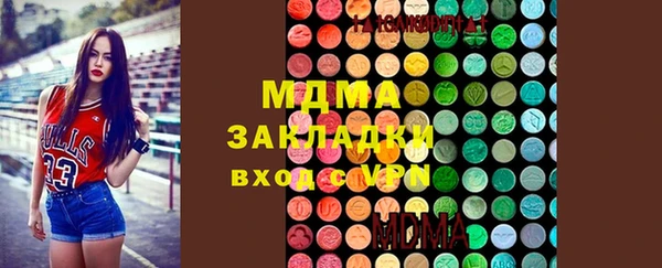 индика Арсеньев