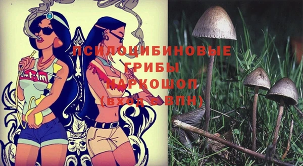 индика Арсеньев