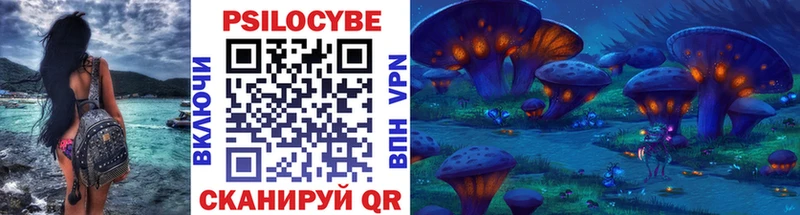 Купить  Дно  Галлюциногенные грибы Psilocybe 